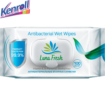 Влажные салфетки LUNA FRESH антибактериальные Family 100 шт