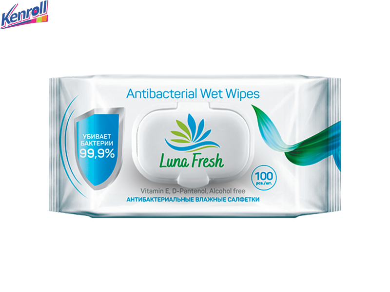 Влажные салфетки LUNA FRESH антибактериальные Family 100 шт